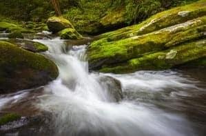 Roaring fork in the Smoky Mountains.jpg