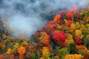 Aerial view of the brilliant fall color in the trees in Gatlinburg.