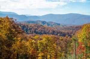 Autumn leaves from the Roaring Fork Motor Nature trail