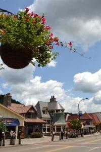 Beautiful fowers in Gatlinburg TN