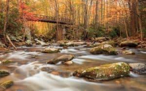 Creek flowing past fall leaves in Gatlinburg.