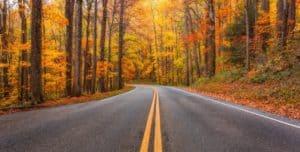 Fall colors along Little River Road near Gatlinburg TN.