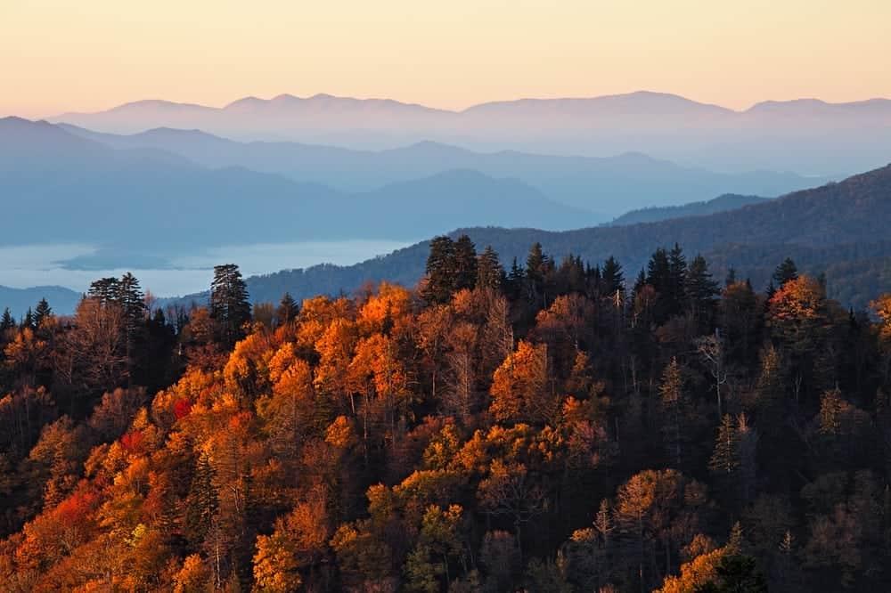 Fall in the Smoky Mountains.jpg