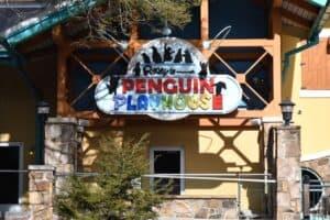 Penguin Playhouse at Ripley's Aquarium of the Smokies 