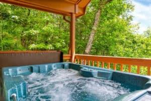 cozy bear hot tub