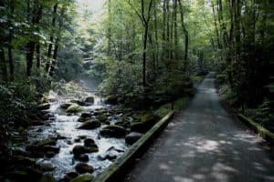 The Roaring Fork Motor Nature Trail in the Smokies.