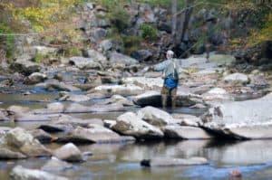 Trout tournament