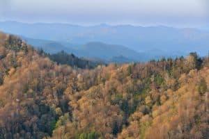 View from Newfound Gap Road