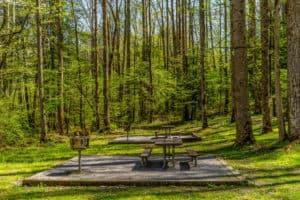 picnic table in the woods