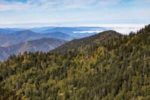 view of the mountains along alum cave trail going to the summit of mount leconte in the great smoky mountains national park